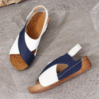 Blauw en Wit